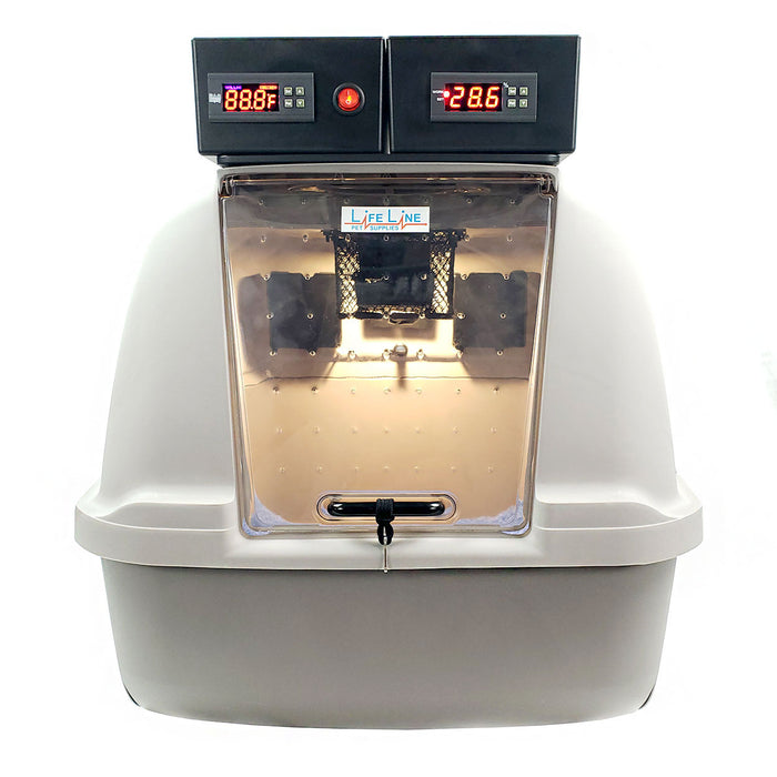 Do I need a puppy incubator or kitten incubator and why?