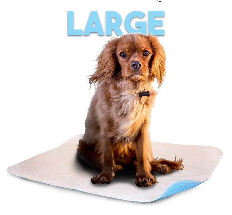 Large (23"x27")* - White - Washable Pee Pad