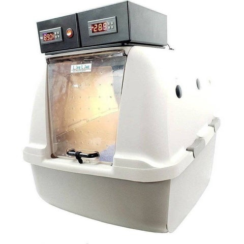 Image of Lifeline Pet Supplies Puppy Kitten Pet Incubator Icu with Digital Humidity - Lifeline Pet Supplies